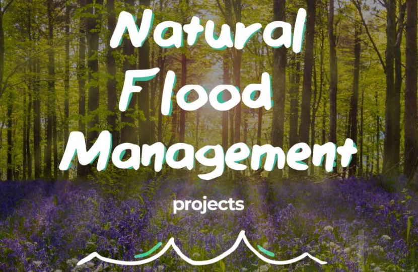 Natural Flood Management Projects Graphic