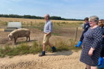 Friston Pig Farm Visit