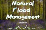 Natural Flood Management Projects Graphic