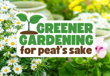 Greener Gardening for Peat's Sake